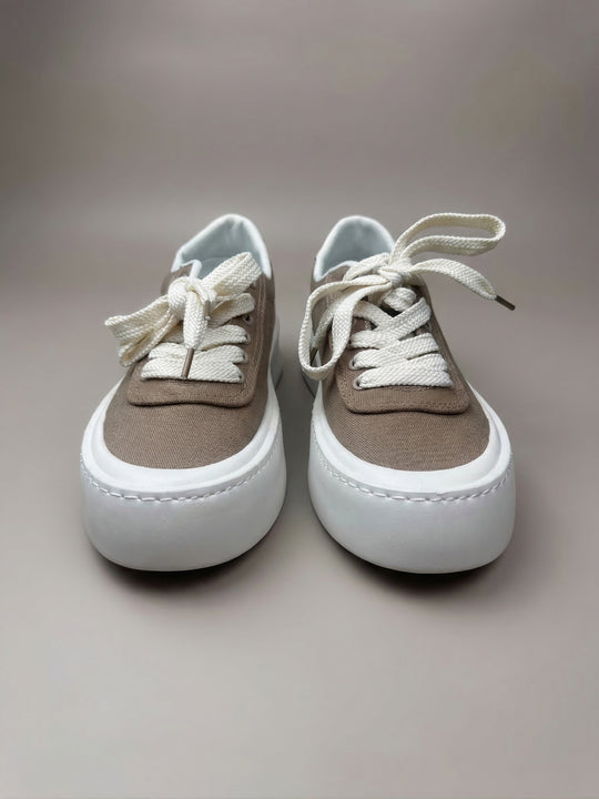 Canvas Trainer
